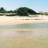 Italy, Apulia, Lesina Marina beach, dunes