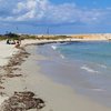 Italy, Apulia, Punta Penna Grossa beach