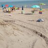 Italy, Molise, Santa Monica beach