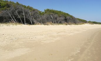 Italy, Molise, Santa Monica beach, Pineta di Vallona forest