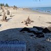 Madagascar, Morondava beach