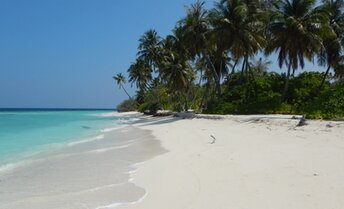 Maldives, Noonu, Fodhdhoo island, beach