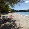 Martinique, Pointe Marin beach, tree's shade