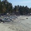 Mexico, Punta Zicatela beach, palms