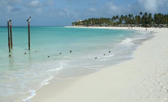 ABC islands, Aruba, Divi beach, stilts