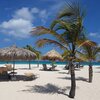 ABC islands, Aruba, Manchebo beach, palms