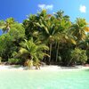 American Virgin Islands (USVI), St. John, Maho Bay beach, palms