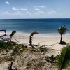 Barbuda, Uncle Roddy beach, trees & palms