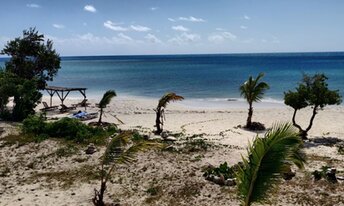 Barbuda, Uncle Roddy beach, trees & palms
