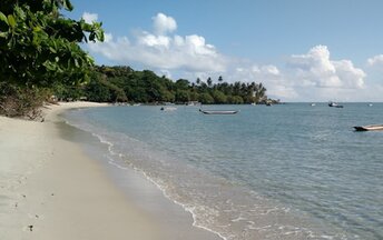 Brazil, Boipeba, Morere beach, water edge