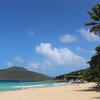 BVI, Tortola, Lambert Bay beach, palm