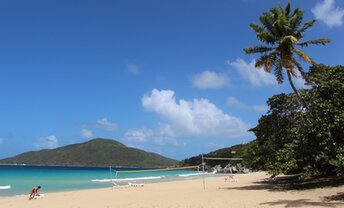 BVI, Tortola, Lambert Bay beach, palm