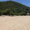 BVI, Tortola, Lambert Bay beach, trees