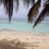 Cook Islands, Rarotonga, Nikao beach, palm shade