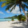 French Polynesia, Maupiti, Motu Auira beach, palms