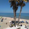 Italy, Abruzzo, Alba Adriatica beach, palms