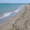 Italy, Abruzzo, Foro beach, water edge