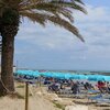 Италия, Абруццо, Пляж Мартинсикуро, променад с пальмами