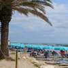 Italy, Abruzzo, Martinsicuro beach, palmed promenade