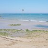 Italy, Abruzzo, Pescara-south beach, algae