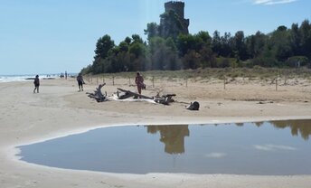 Italy, Abruzzo, Pineto beach, Torre del Cerrano