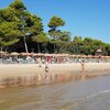 Italy, Abruzzo, Roseto degli Abruzzi beach, north, trees