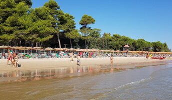 Italy, Abruzzo, Roseto degli Abruzzi beach, north, trees