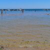 Italy, Abruzzo, San Salvo Marina beach, clear water