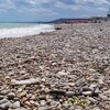 Italy, Abruzzo, Scerne beach, stones