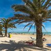 Italy, Marche, Grottammare beach, palmed promenade