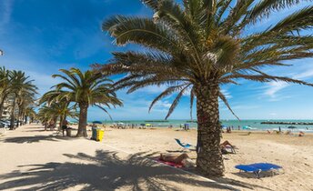 Italy, Marche, Grottammare beach, palmed promenade