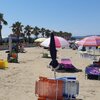 Italy, Molise, Marina di Montenero beach, palms