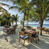 Maldives, Noonu, Kuredhivaru island, cafe, palms