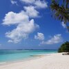 Maldives, Noonu, Sun Siyam Iru Fushi island, palms