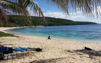 Mariana Islands, Tinian, Tachogna beach, palm shade