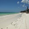 Tanzania, Zanzibar, Jambiani beach, water edge