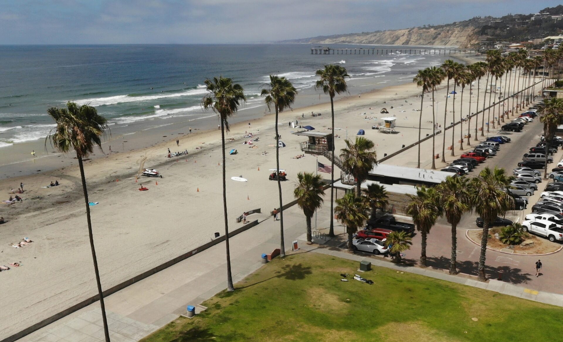 La Jolla beach, San Diego, USA Ultimate guide (September 2024)