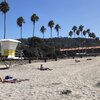 USA, California, San Diego, La Jolla beach, palms