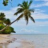 Brazil, Boipeba, Barra beach, palm over water