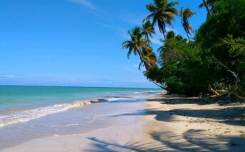 Brazil, Boipeba, Barra beach, water edge