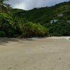 BVI, Tortola, Brewers Bay beach, palms