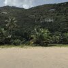 BVI, Tortola, Trunk Bay beach, palms