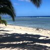 Cook Islands, Rarotonga, Magic reef bungalows beach, palm shade