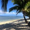 Cook Islands, Rarotonga, Magic reef bungalows beach, palms