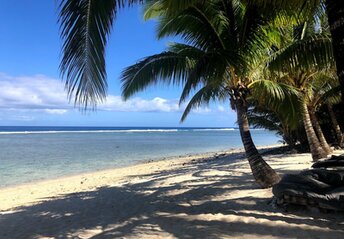 Cook Islands, Rarotonga, Magic reef bungalows beach, palms