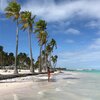 Dominican Republic, Cap Cana beach, palms