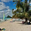 Dominican Republic, Playa Bayahibe beach, palm