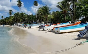 Dominican Republic, Playa Bayahibe beach, water edge