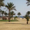 Egypt, Wadi beach, palms
