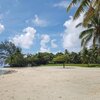 French Polynesia, Raiatea, Marae Taputapuatea beach, palm